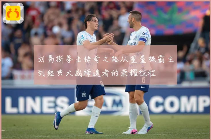 刘易斯拳击传奇之路从重量级霸主到经典大战缔造者的荣耀征程